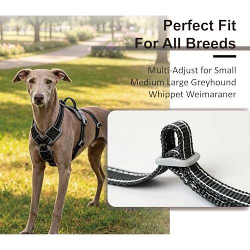 ThinkPet Flexfit 3-Strap Escape Proof Dog Harness, No Pull Front Clip 2-in-1 Vest with Control Handle, 360° Reflective Breathable Adjustable Harness for Greyhound Whippet Vizsla, Large, Black - color: Black, size: Large