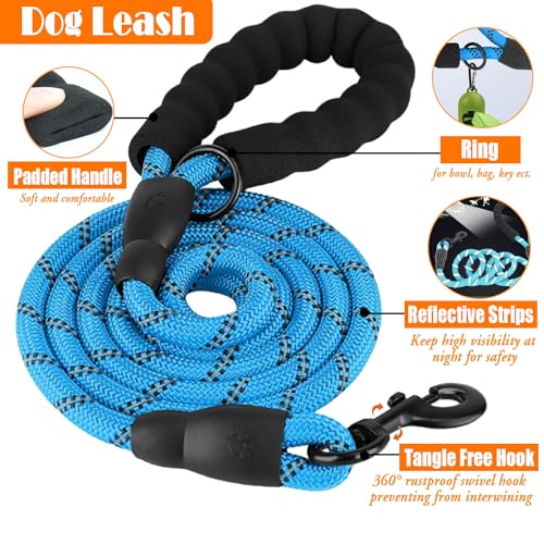 LOBEVE No Pull Dog Harness, Collar & Leash Set | Includes Dog Seat Belt, Collapsible Bowls & Poop Bag Dispenser. Ideal for Training, Walking, Hiking. Fits Small to Large Dogs(Blue-S) - color: Blue, size: Small