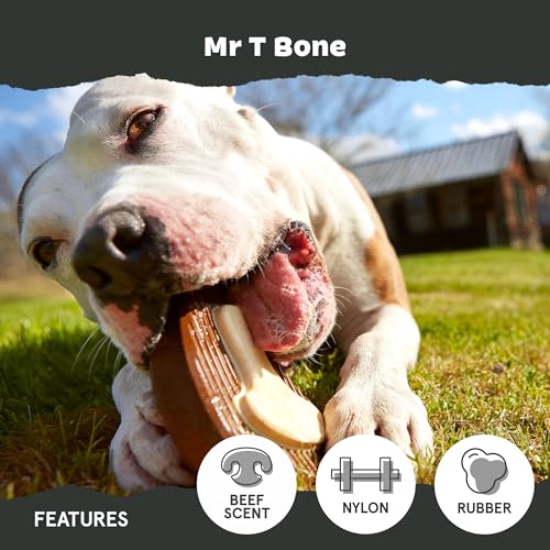 Barkbox Super Chewer Tough Dog Chew Toys for Aggressive Chewers, Dental Stimulating (T Bone - Large) - color: Mr. T-Bone - Large, size: Medium/Large