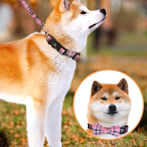 IVY&LANE Dog Collar with Bowtie and Leash Set | Plaid Adjustable Dog Collar | Detachable Bow Tie |5 FT Dog Leash | for Small Medium Large Dogs | Checkered Pink | Small - color: Checkered Pink, size: S