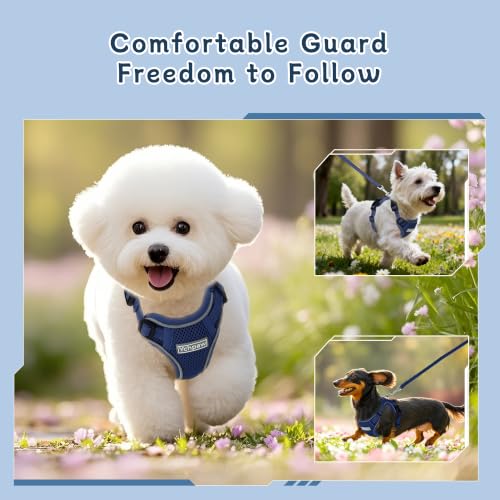Small Dog Harness and Leash Set, Reflective Soft Breathable Mesh Vest, 3 Buckles, Adjustable Neck and Chest,Step in Dog Harness for Walking, Running, Training, Navy Blue, S - color: Navy Blue, size: Small