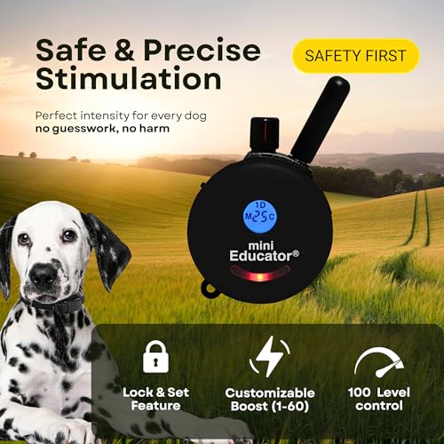 E-Collar ET-300 / ET-302 Dog Training Collar System with Remote - 1/2 Mile Range - Waterproof, Vibration, Sensation - Includes eOutletDeals Pet Towel (1 Dog System - ET-300 Black) - size: 1 Dog System - ET-300 BLACK