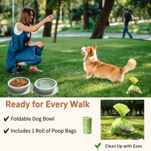 Collapsible Dog Bowl 2-in-1 Travel Portable Silicone Carabiner,Green | food & water use, folds flat, compact storage, camping, hiking, everyday walks, carabiner clip included - color: B-Green