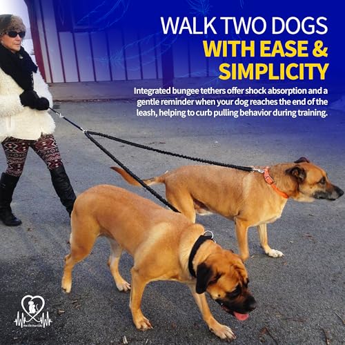 Pet Fit For Life 64" Double Dog Leash – Premium Dual Leash for Two Dogs w/Shock-Absorbing Bungee | Durable Soft Foam Handle for Comfort & Control | Includes Bonus Collapsible Travel Water Bowl - size: Large