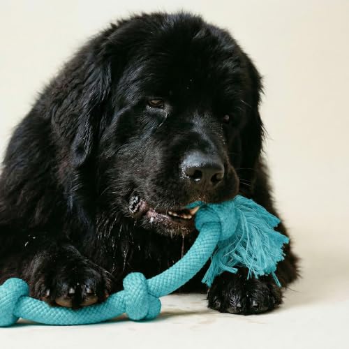 Playology Dog Toys | Dri-Tech Rope Tug of War Dog Toy for Tough Chewers | Peanut Butter Scented Mega Size Tug Rope Toys for Extra Large Dogs - size: Mega, style: Peanut Butter