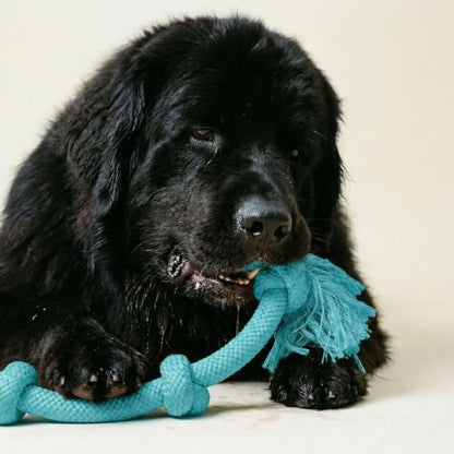 Playology Dog Toys | Dri-Tech Rope Tug of War Dog Toy for Tough Chewers | Peanut Butter Scented Mega Size Tug Rope Toys for Extra Large Dogs - size: Mega, style: Peanut Butter