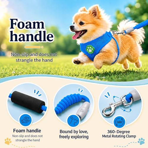 Dog Harness Small Sized and Leash Set, Step in Soft Light Puppy Vest, Breathable Mesh Pet Harness, Adjustable Pet Puppy Harness, Easy Walk Dog Harness, S: Chest 7.8-13.7" - color: Blue, size: S: Chest 7.8-13.7" Leash 3.8 FT