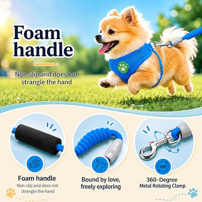 Dog Harness Small Sized and Leash Set, Step in Soft Light Puppy Vest, Breathable Mesh Pet Harness, Adjustable Pet Puppy Harness, Easy Walk Dog Harness, M: Chest 11.8-17.7" - color: Blue, size: M: Chest 11.8-17.7" Leash 4 FT