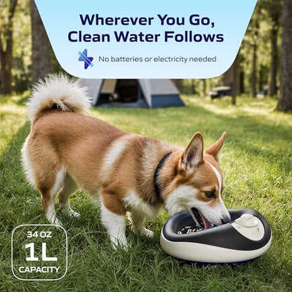 Mini Filtered Water Bowl for Cats & Small Dogs, 1L/34oz - No Power Needed, Auto-Refill, No Spill, Portable Travel Lock, Carbon Filter, BPA-Free, Puppies & Kittens