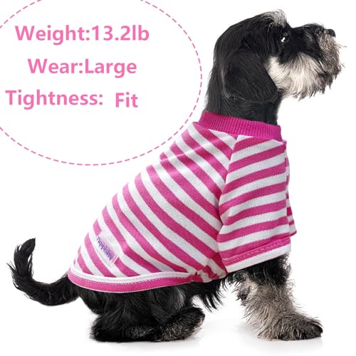 2 Pieces Stripe Dog Clothes for Small Dogs Summer Dog Shirt Cute Soft Puppy Clothes Bresthable Chihuahua Cat Clothes XS~XXL Pet Clothing (Pink, XX-Large) - color: pink, size: XX-Large