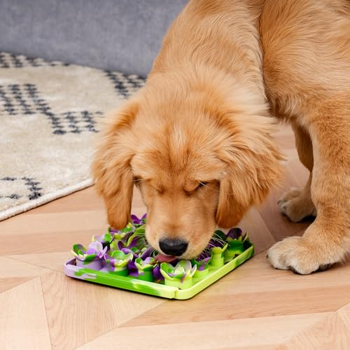 Tall Tails Succulent Foraging Mat for Dogs and Cats – Slow Pet Feeder Puzzle Mat for Easy & Engaging Feeding - color: Succulent