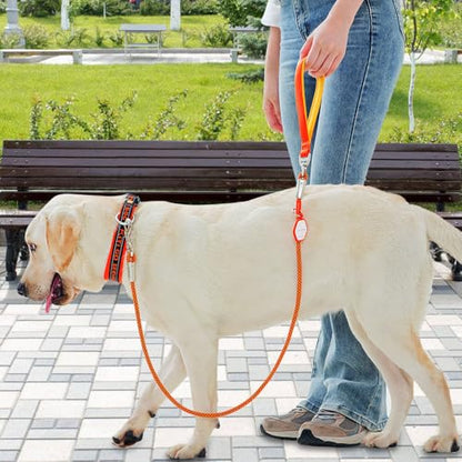 Dog Leash,Heavy Duty Dog Rope Lead with Soft Neoprene Padded Handle & 360° Swivel Clip for Medium Large Dogs (0.8cm*1.3/1.6m) - color: light green, size: 0.8*130cm
