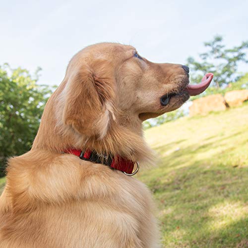 Hyhug Small Dog Collar Quick-Release Red| Heavy-Duty Nylon Puppy Collar, Adjustable & Durable Pet Supplies for Boy & Girl Dogs (Small, Red) - color: Red, size: Small