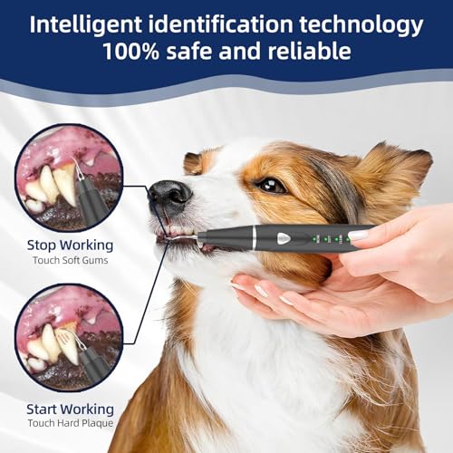 Plaque Remover for Teeth, Pet Ultrasonic Cleaner, Dog Plaque and Tartar Remover with LED Light, Dog Teeth Cleaning Dental Care Kit for Tartar and Stains, Suitable for Dogs and Cats (Black) - color: Black