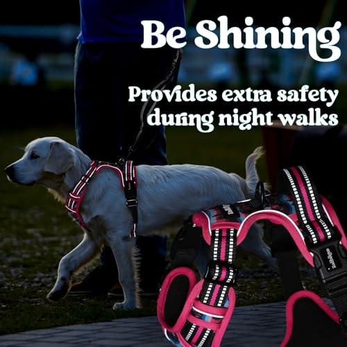 rabbitgoo Dog Harness Small Sized, No Pull Easy On & Off with 3 Buckles Pet Harness, Adjustable Soft Walking Vest with 2 Clips and Handle, Reflective for Small Dogs, Mountain Rose, S - color: Mountain Rose, size: Small