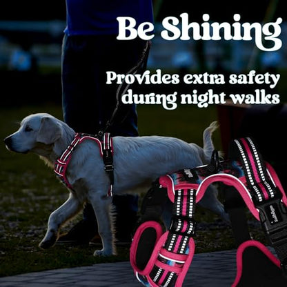 rabbitgoo Dog Harness Small Sized, No Pull Easy On & Off with 3 Buckles Pet Harness, Adjustable Soft Walking Vest with 2 Clips and Handle, Reflective for Small Dogs, Mountain Rose, S - color: Mountain Rose, size: Small