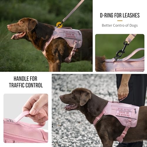 OneTigris Sentinel Pink Service Dog Vest with Patches, Reflective Lightweight Dog Harness for Medium Large Dogs (Pink, M: Neck 16-23", Chest 24-32") - color: Pink, size: M: Neck 16-23", Chest 24-32"