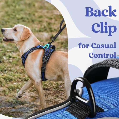 rabbitgoo Dog Harness Small Sized, No Pull Easy On & Off with 3 Buckles Pet Harness, Adjustable Soft Walking Vest with 2 Clips and Handle, Reflective for Small Dogs, Blue, S - color: Blue, size: Small