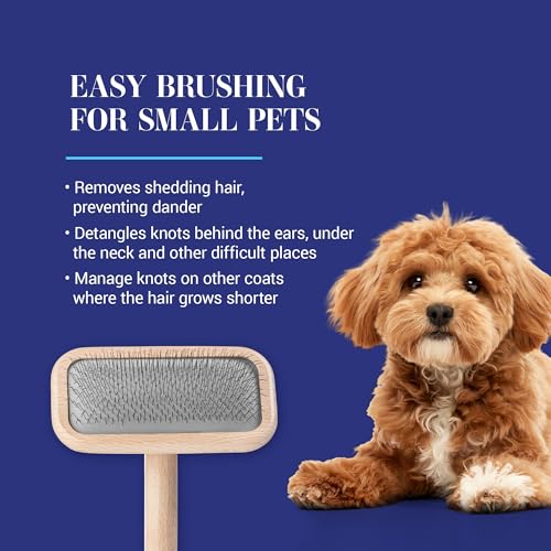 Chris Christensen Mark II Slicker Brush for Dogs, 12mm Pins, Groom Like a Pro, Handcrafted Lightweight Beechwood Ergonomic Handle, Stainless Steel Pins, A5II Small. Made in Germany. - size: Mark II Small