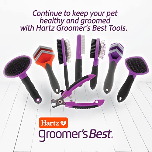 Hartz Groomer's Best Small Slicker Brush for Cats and Small Dogs, Black/Violet, 1 Count (Pack of 2) - size: 1 Count (Pack of 2), style: Small Slicker Brush