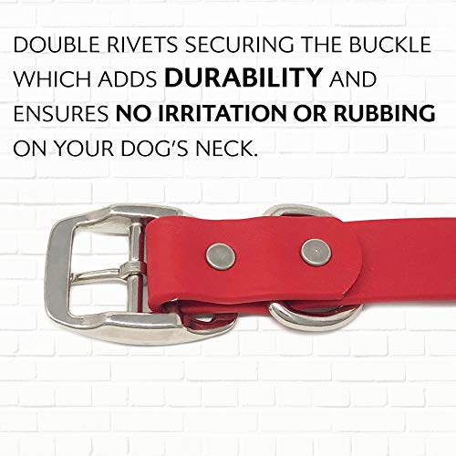 Regal Dog Products Small Red Dog Collar with Heavy Duty Double Buckle & D Ring | Vinyl Coated, Custom Fit, Adjustable Biothane Dog Collar | Chew Resistant Waterproof Center-Ring Collar for Dogs - color: Red, size: Small