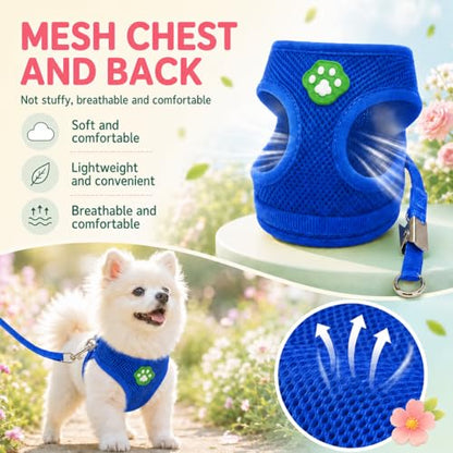 Dog Harness Small Sized and Leash Set, Step in Soft Light Puppy Vest, Breathable Mesh Pet Harness, Adjustable Pet Puppy Harness, Easy Walk Dog Harness, M: Chest 11.8-17.7" - color: Blue, size: M: Chest 11.8-17.7" Leash 3.8 FT