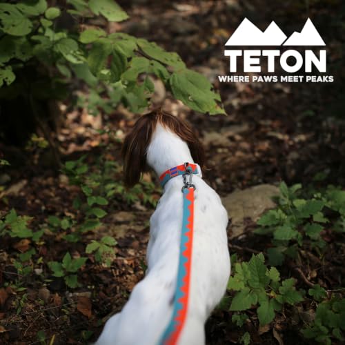 Charlie’s Backyard Teton Dog Leash, Urban to Trail 6 FT Heavy-Duty Lead Adjustable Length Hands-Free Waist-Worn, Ultra-Light Aluminum Hook, Comfort Handle with Poop Bag Clip, Sunset Peaks - color: Sunset Peaks