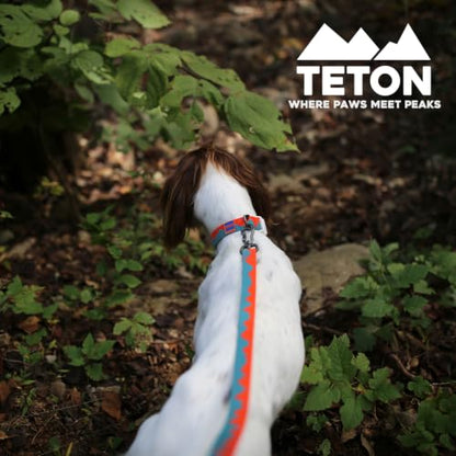 Charlie’s Backyard Teton Dog Leash, Urban to Trail 6 FT Heavy-Duty Lead Adjustable Length Hands-Free Waist-Worn, Ultra-Light Aluminum Hook, Comfort Handle with Poop Bag Clip, Sunset Peaks - color: Sunset Peaks