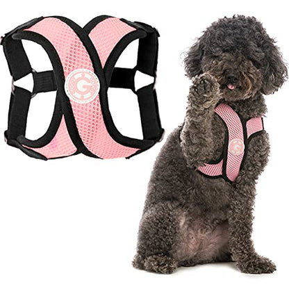 Gooby - Comfort X Step-in Harness, Choke Free Small Dog Harness with Micro Suede Trimming and Patented X Frame, Pink, X-Large - color: Pink, size: X-Large