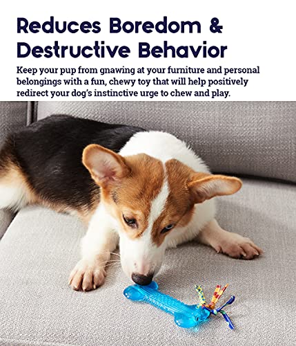 Bone Mini Dog Chew Toy & Treat Stuffer for Teething Puppies & Small Dogs up to 20 lbs, Bounces & Floats, Textured for Dental Support, Moderate Chewers, 5.5" - size: Mini (Pack of 1)