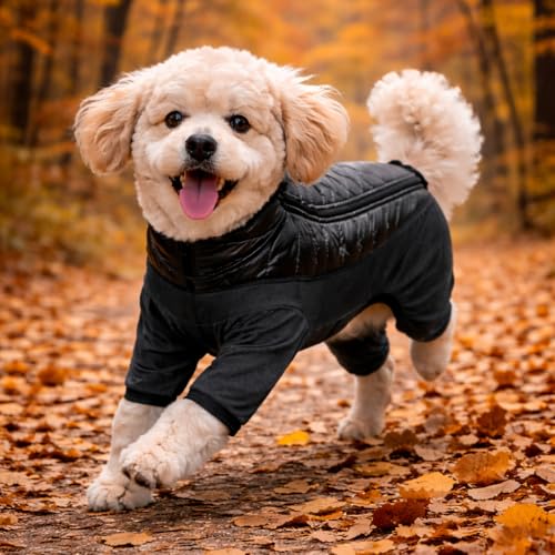 Pet Life ® Aura-Vent Lightweight 4-Season Stretch and Quick-Dry Performance Full Body Dog Coat Pet Jacket - color: Black, size: Medium