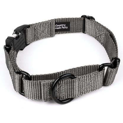 Country Brook Petz - Martingale Dog Collar - Heavy Duty Nylon Adjustable Martingale Dog Collar with Premium Buckle for Small Medium Large Breeds (5/8 Inch, Extra Small, Charcoal) - color: Charcoal, size: Extra Small (Pack of 1)