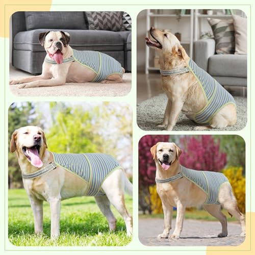 Dog Diapers Female,Female Dog Diapers for Heat Large Dogs, Washable Onesie Sanitary Pantie with Adjustable Suspender Washable, Reusable Period Panties Doggie Diaper, M - color: Blue, size: Medium