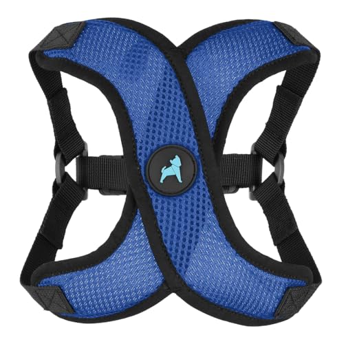Gooby Comfort X Step in Lite Dog Harness - Choke Free, Escape Free with Light Breathable Mesh - Step in Dog Harness for Small Dogs Only - Quick Release Buckle, Metal D-Rings - Blue, X-Small - color: Blue, size: X-Small (11.8-14")