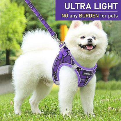 GAMUDA Small Dog Harness Collar and Leash Set, Step in No Chock No Pull Soft Mesh Adjustable Dog Vest Harnesses Plaid Reflective for Dogs Puppy Cats Kitten Rabbit (Purple, XL) - color: Purple, size: XL