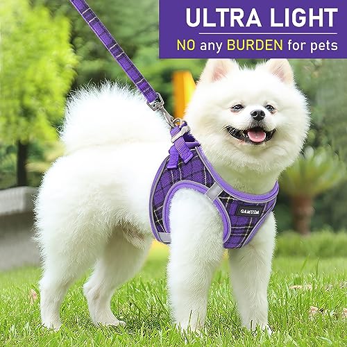 GAMUDA Small Dog Harness Collar and Leash Set, Step in No Chock No Pull Soft Mesh Adjustable Dog Vest Harnesses Plaid Reflective for Dogs Puppy Cats Kitten Rabbit (Purple, L) - color: Purple, size: L