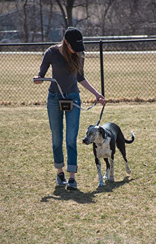 OllyDog Goodie Treat Bag, Dog Treat Pouch, Waist Belt Clip for Hands-Free Training, Magnetic Closure, Dog Training and Behavior Aids, Three Ways to Wear (Clay) - color: Clay