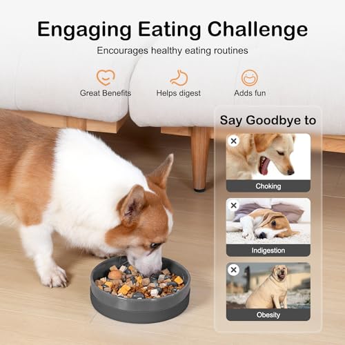 Sted Ceramic Slow Feeder Dog Bowls with Silicone Base, Slow Feeding Dog Bowl Small Medium Breed, Dog Food Bowls for Fast Eaters, Slow Down Eating, Puzzle Dog Food Bowl, Maze Grey - color: Grey, size: Medium-8 inches