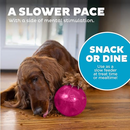 Outward Hound Orbee-Tuff Mazee Interactive Dog Puzzle Toy, Treat Dispensing Slow Feeder Ball, Pink, 4.7-Inch - color: Pink