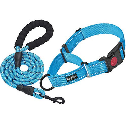 haapaw Martingale Dog Collar with Quick Release Buckle Reflective Dog Training Collars for Small Medium Large Dogs - color: Blue, size: L