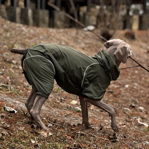 Dog Lightweight Windbreaker, Dog Outdoor 4-Legs Jacket, 0.5 lbs,Durable Water Repellent, Hooded, Easy on/Off with Collar and Harness, Reflective, Packable,Dark Olive - Small - size: Small