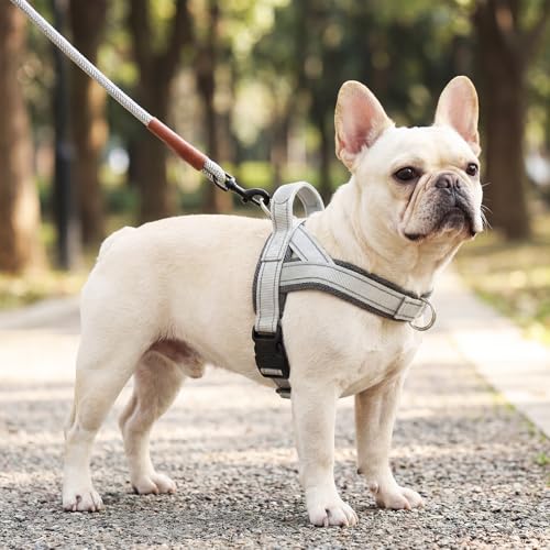 No Pull Dog Harness with Handle, French Bulldog Adjustable Reflective Dog Vest, Breathable Air Mesh Padded Pet Harness with Front Leash Clip for Small Medium Dogs, Light Grey, L - color: Light Grey, size: Large
