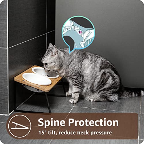 AYADA Elevated Cat Bowls, Height Adjustable Raised with Stand Lifted Ergonomic Anti Vomiting Non Slip Slanted Tilted Double Bowls Food Water Ceramic - color: Ceramic