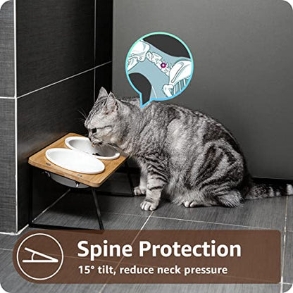 AYADA Elevated Cat Bowls, Height Adjustable Raised with Stand Lifted Ergonomic Anti Vomiting Non Slip Slanted Tilted Double Bowls Food Water Ceramic - color: Ceramic