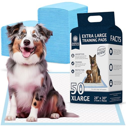 American Kennel Club Scented Puppy Training Pads with Ultra Absorbent Quick Dry Gel – 28 x 30 Pee Pads for Dogs - Fresh Scented - 50 Count, XL (Pack of 6) - size: 28 x 30 - 50 Count (Pack of 6)