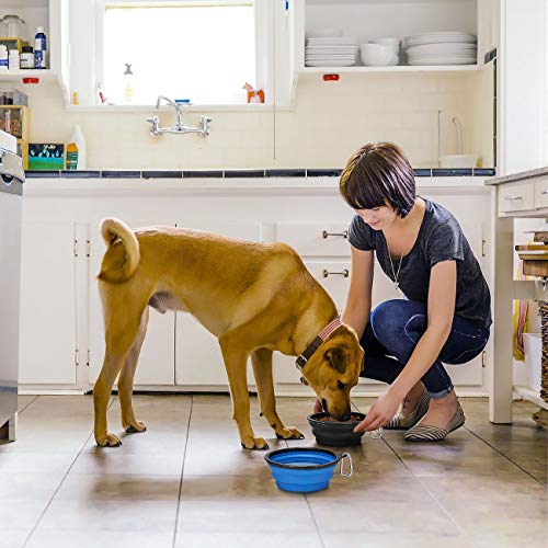 Kytely Large Collapsible Dog Bowls 2 Pack, 34oz Foldable Dog Travel Bowl, Portable Pet Water Food Bowl with Clasp, Pet Cat Feeding Cup Dish for Traveling, Walking, Hiking (Black+Blue) - color: Blue & Black