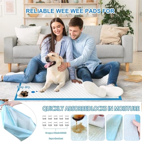 XXXXL Puppy Pee Pads 31"x47" 100 Count, Extra Large for Dogs, Leak-Proof & Super Absorbent, Thicken Disposable Potty Training Pads for Cats Rabbits - size: 31"x47" 100 Count