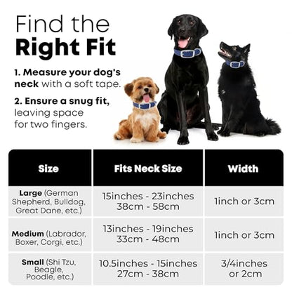Regal Dog Products Large Blue Dog Collar with Heavy Duty Double Buckle & D Ring | Vinyl Coated, Custom Fit, Adjustable Biothane Dog Collar | Chew Resistant Waterproof Center-Ring Collar for Dogs - color: Blue, size: Large