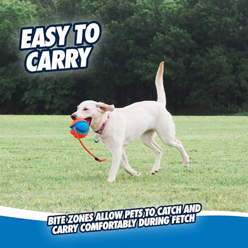 Chuckit! Rope Fetch Dog Toy - Ball on Rope Fetch and Tug-of-War Toy for Dogs - Durable EVA Rubber Construction - 5.5-inch Diameter - 18-inch Rοpe - Orange and Blue - size: One Size