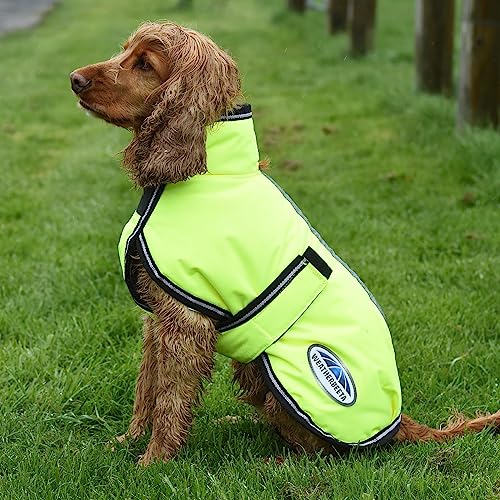 WeatherBeeta ComFiTec Reflective Parka 300D Deluxe Dog Coat, Yellow, 20" - color: Yellow, size: 20"